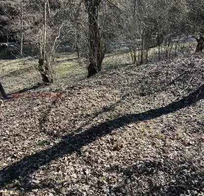 Photo 4 — Plot in Oblast Lovech, Ribarica