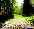 Снимка 4 — Парцел в Перник, с. Рударци