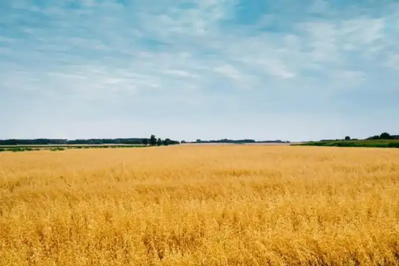Парцел в София, с. Скравена