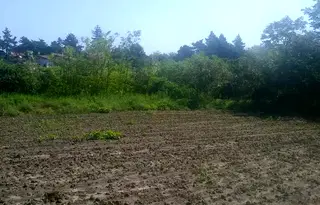 Парцел в Добрич, с. Смолница