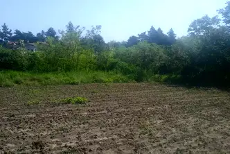 Парцел в Добрич, с. Смолница