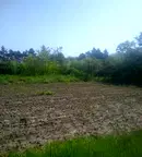 Парцел в Добрич, с. Смолница