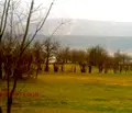 Снимка 3 — Парцел в Шумен, с. Сушина