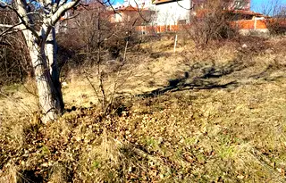 Парцел в с. Световрачене