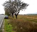 Снимка 3 — Парцел в Сливен, с. Тополчане