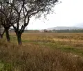 Снимка 4 — Парцел в Сливен, с. Тополчане