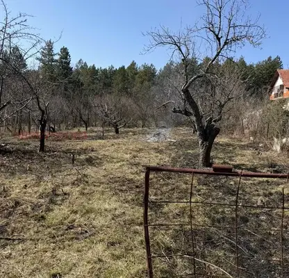Снимка 5 — Парцел в с. Войнеговци