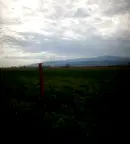 Парцел в Пловдив, с. Златитрап