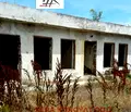 Снимка 4 — Парцел в Добрич, Шабла