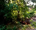 Снимка 3 — Парцел в София, в.з.Килиите