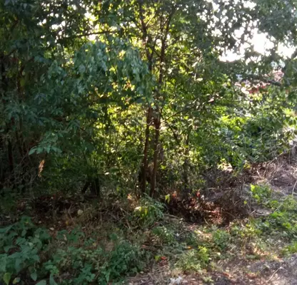 Photo 3 — Plot in Sofiya, в.з.Килиите