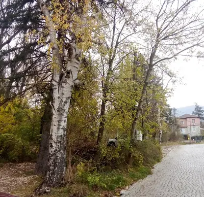 Photo 5 — Plot in Sofiya, в.з.Килиите