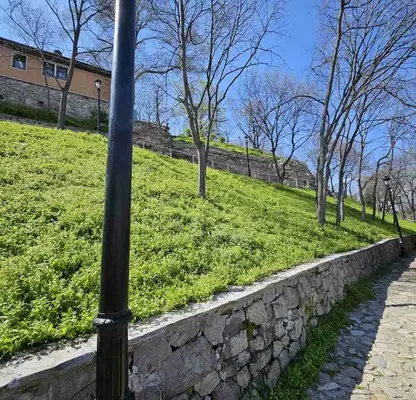 Photo 4 — Plot in Старият