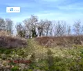 Снимка 3 — Парцел във Варна, м-т Прибой