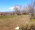 Снимка 4 — Земеделски имот в Благоевград, Банско