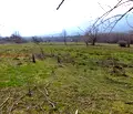 Снимка 5 — Земеделски имот в Благоевград, Банско