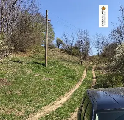 Снимка 4 — Земеделски имот в Перник, Брезник