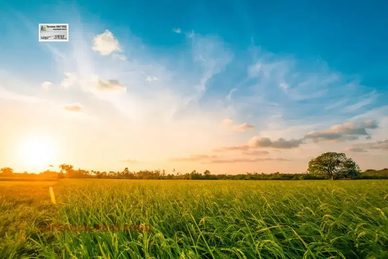 Agricultural Land in Oblast Dobrich, Dobrich