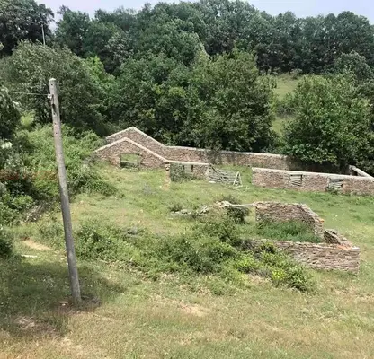 Photo 2 — Pasture in Kyrdjali, Krumov