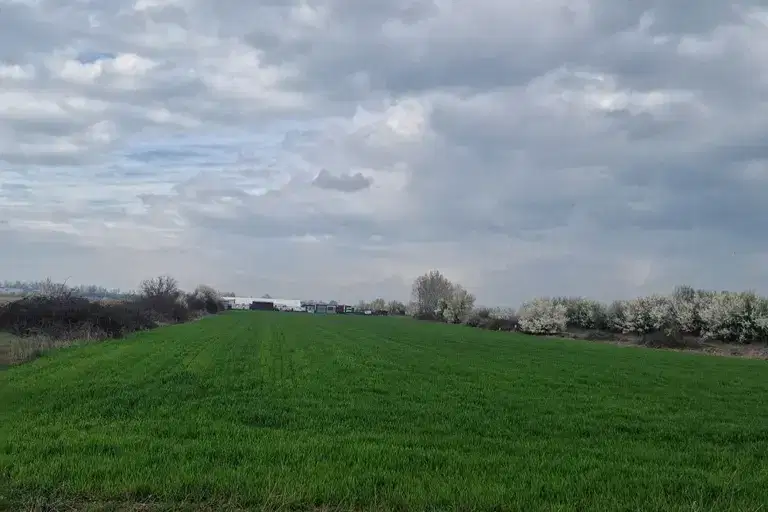 Agricultural Land in Oblast Plovdiv, Plovdiv