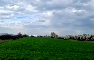 Земеделски имот в Пловдив, Пловдив