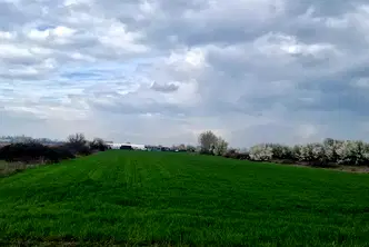 Земеделски имот в Пловдив, Пловдив