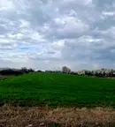 Земеделски имот в Пловдив, Пловдив