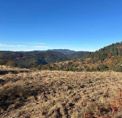 Photo 5 — Meadow in Smolyan, Davidkovo