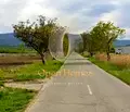 Снимка 4 — Земеделски имот в Пловдив, с. Йоаким Груево