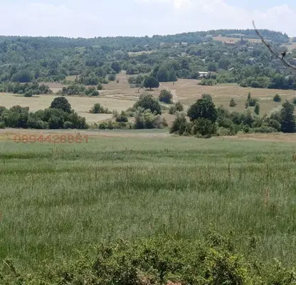 Photo 3 — Agricultural Land in област София, Kostadinkino