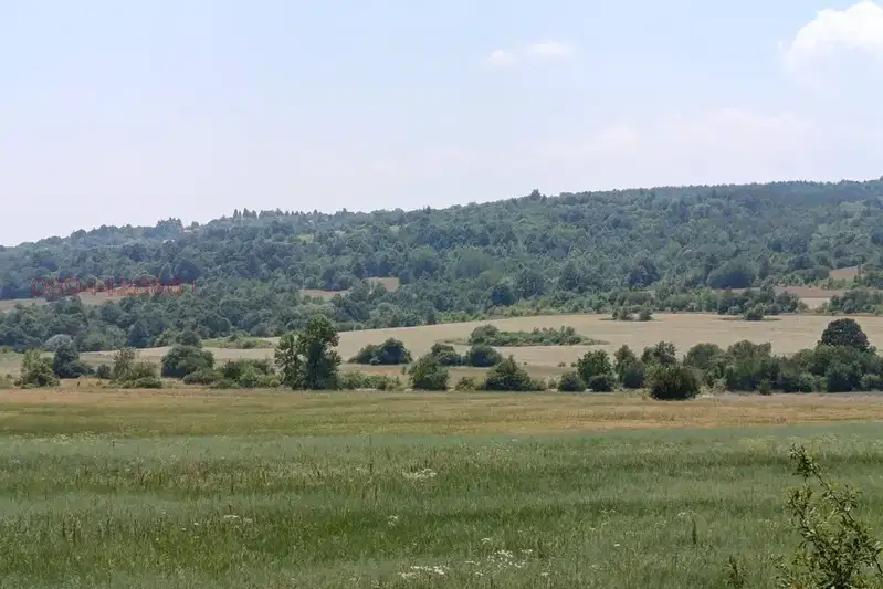 Agricultural Land in област София, Kostadinkino