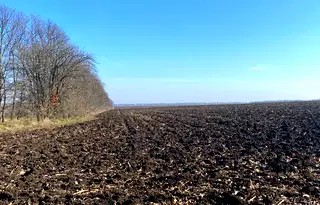 Земеделски имот в Добрич, с. Могилище