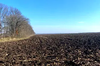 Земеделски имот в Добрич, с. Могилище