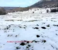 Снимка 4 — Земеделски имот в Плевен, с. Муселиево