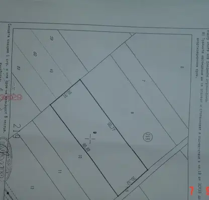 Photo 2 — Orchard in Stara Zagora, Stara Zagora
