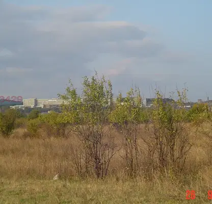 Photo 3 — Orchard in Stara Zagora, Stara Zagora