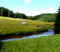 Снимка 4 — Къща в Пазарджик, Батак