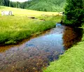 Снимка 5 — Къща в Пазарджик, Батак