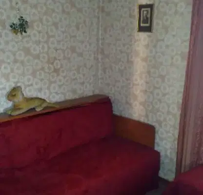 Photo 4 — Two-storey house with 5 rooms and large yard in Dragizhevo village