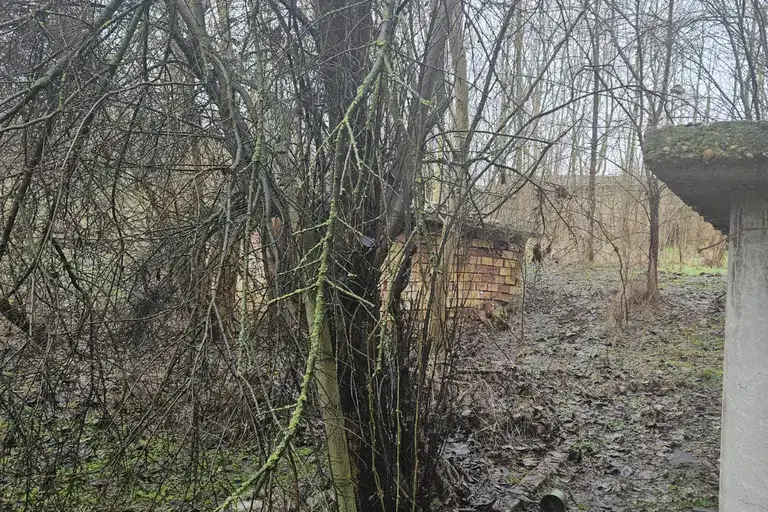 Къща в Русе, с. Караманово