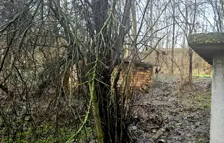 Къща в Русе, с. Караманово