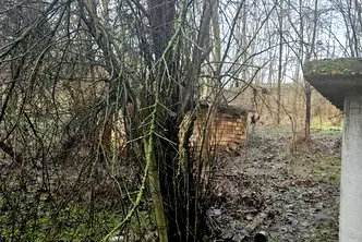 Къща в Русе, с. Караманово