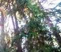 Снимка 5 — Къща в Пазарджик, с. Панагюрски колонии