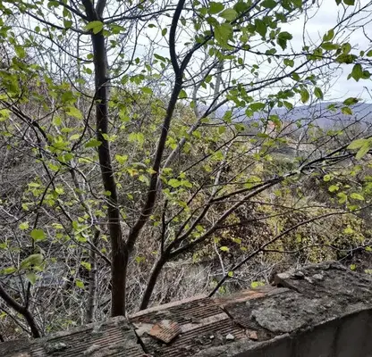 Photo 5 — House in Dobrich, Prilep