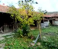 Снимка 4 — Къща в Шумен, с. Веселиново