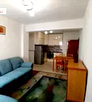 Многостаен апартамент в София, Борово