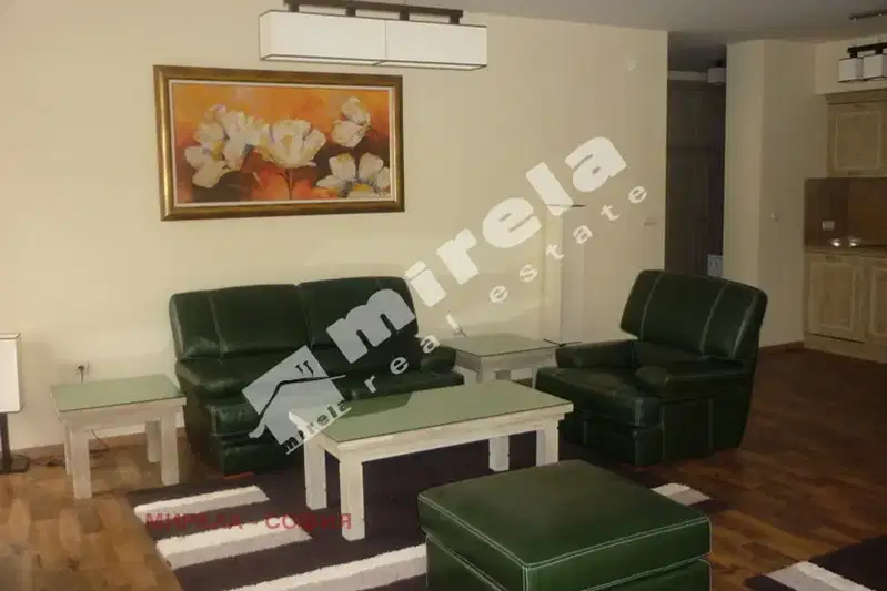 4-bedroom apartment in Sofiya, Vitosha