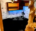Снимка 5 — Двустаен апартамент във Варна, Бизнес хотел