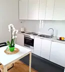 Двустаен апартамент в София, Център