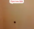 Снимка 3 — Двустаен апартамент в Шумен, Добруджански